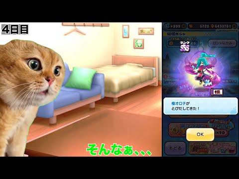 ぷにぷに【猫ミーム】ぷにらーのイベントルーティーンを今流行りの猫ミームで再現してみた【妖怪ウォッチぷにぷに】