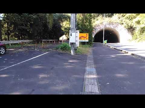 福井県道190号線　旧道　安養寺隧道　その2