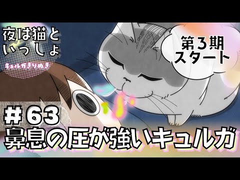 第３期スタート！【夜は猫といっしょ:63夜目】(字幕付き)