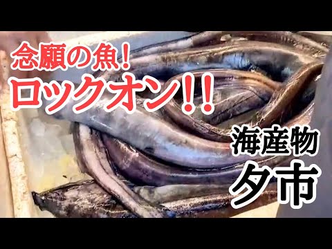 【北海道】白老町の海産物夕市🐟開店前から大行列！目当ての魚GETなるか！？