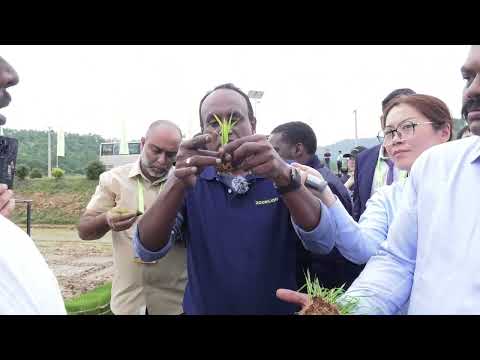 ZOOMLION Agriculture Paddy Machinery Conference 2024 Review（Part5）