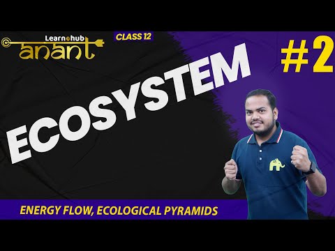 Ecosystem Class 12 Biology NCERT Chapter 12 #2 | Energy Flow, Ecological Pyramids | Atharv Batch