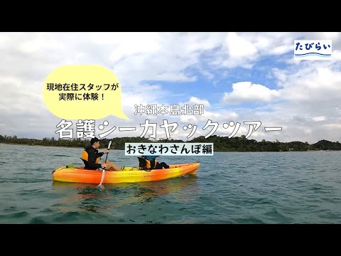 【沖縄本島北部】現地在住者が実際に体験！名護シーカヤックツアー魅力ポイントまとめ