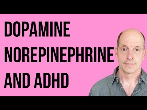 Dopamine, Norepinephrine, and ADHD - The Stories We Tell About Them