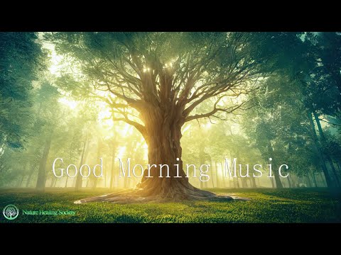 QUIET Relaxing Morning Music 🥰 Tranquil Healing Wake Up Meditation Music 432Hz