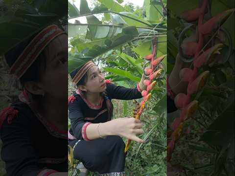 Farming & gardening life: Homestead enjoy natural healing #homestead #countrylife #morningmusic