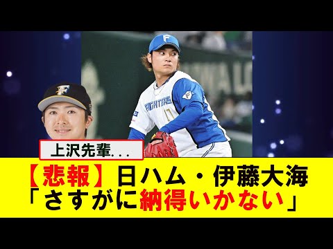 日ハム・伊藤、上沢とのエスコン直接対決熱望「それぐらいしないとファイターズファンは納得いかない」【なんJ プロ野球反応集】【2chスレ】【5chスレ】