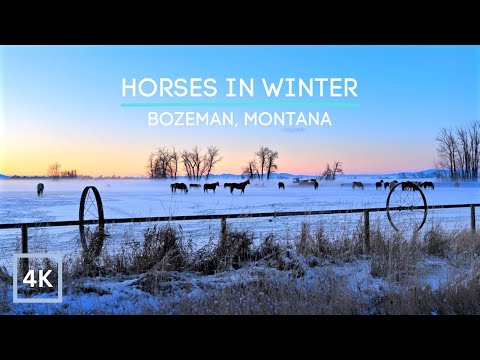 Stunning Scenery of a Montana Ranch in winter for Deep Relaxation, Meditation or Sleep: 4k UHD