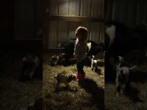 Waking up to a surprise on the farm 🥰 #familyfarm #babygoats #countryliving