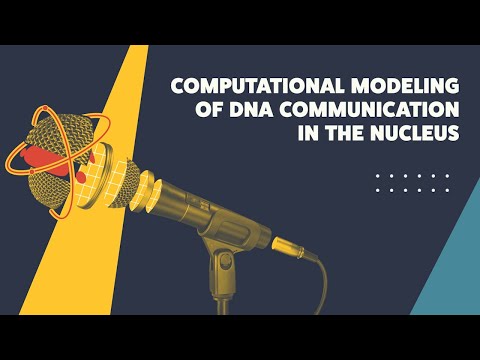 Computational Modeling of DNA Communication in the Nucleus