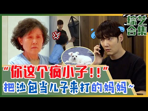 [My Little Old Boy] (Chinese SUB)Jinhyuk, who never gets scolded by his mom