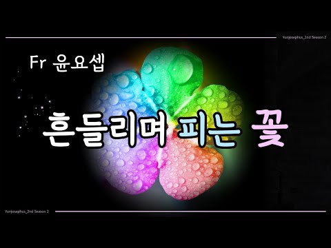 흔들리며 피는 꽃 - 윤요셉 생활성가 | 2022