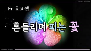 흔들리며 피는 꽃 - 윤요셉 생활성가 | 2022