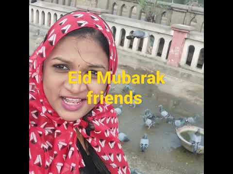 Eid Mubarak friends#shorts,#youtubeshorts,#wishes,#EidMubarak, #pigeons,#sei, #staysafe,#reels,#2021