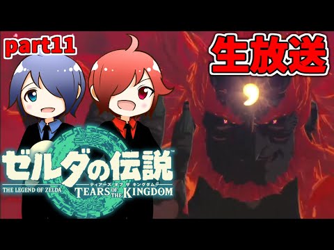 🔴【ゼルダの伝説】兄弟でティアキンやるよ ガノンドロフ討伐編 #11 ※ネタバレコメントNG【ティアーズ オブ ザ キングダム】