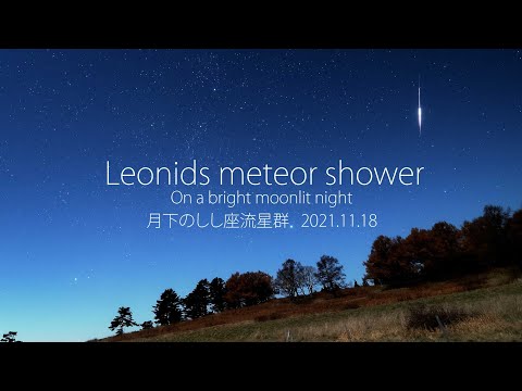 Time Lapse #131 月下のしし座流星群 Leonids meteor shower 2021 4K