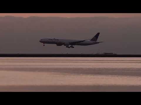 ✈️フォトジェニックな夜明け前☀️ユナイテッド航空870便シドニーからのBoeing 777-300ER N2331Uが静かに着陸した【高画質4K】