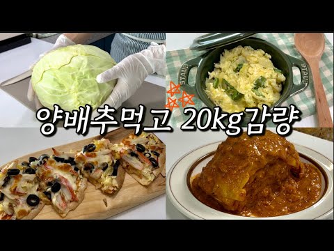 20kg 감량성공 유지어터 양배추식단 추천‼️