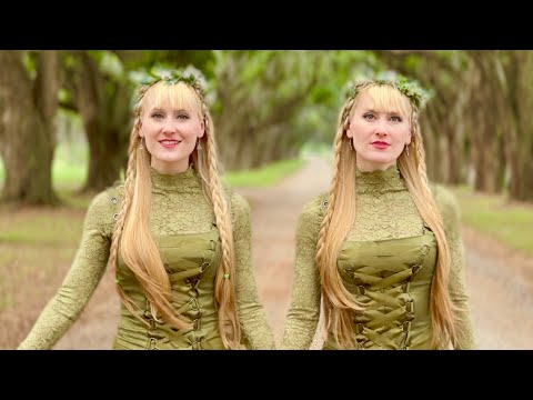 Celtic Fantasy - "Foreshadowing (Rest in Pieces)" - Harp Twins original