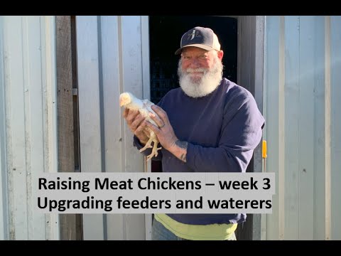 Raising Meat Chickens | Week 3 | Upgrading their feeders and waterers!