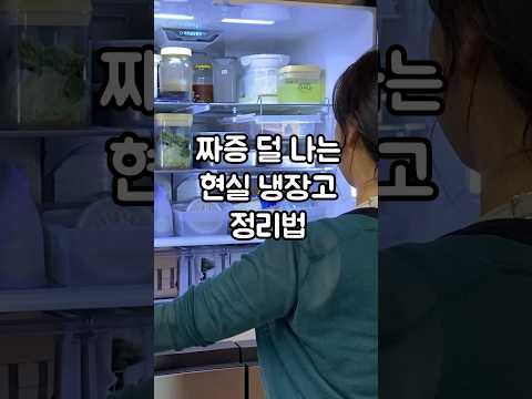 짜증 덜 나는 현실 냉장고 정리법 feat. 다이소