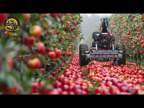 How To Apple Farm An Efficient Fruit Module - Agriculture with Grand Machine