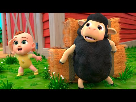 Baa Baa Black Sheep Song | Newborn Baby Songs & Nursery Rhymes