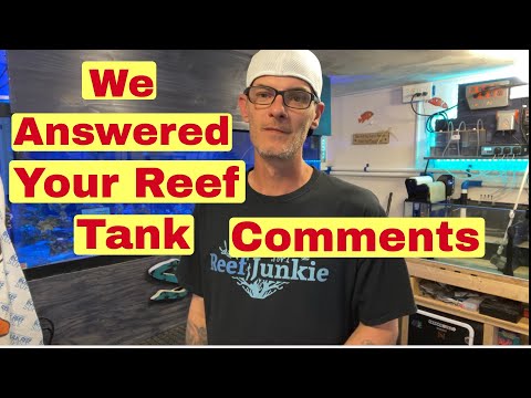 Your Reef Tank Questions Answered (From Subscriber Comments) RODI, Lighting, and Tank Parameters