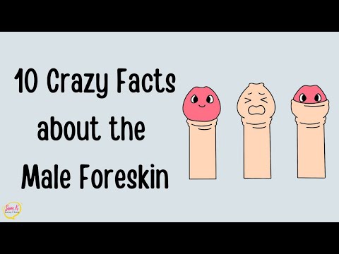 10 Crazy Facts about the Male Foreskin 🍆 Puberty Explainer Video