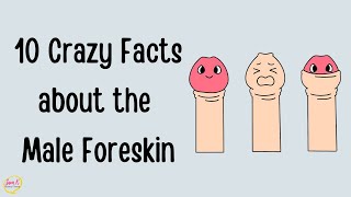 10 Crazy Facts about the Male Foreskin 🍆 Puberty Explainer Video