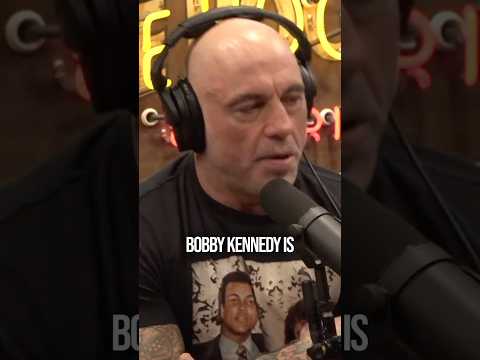 Rogan: psychedelics for veterans