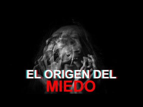 PSICOLOGÍA DEL MIEDO | ¿Por qué sentimos miedo? ¿Cómo podemos combatirlo? | Ness