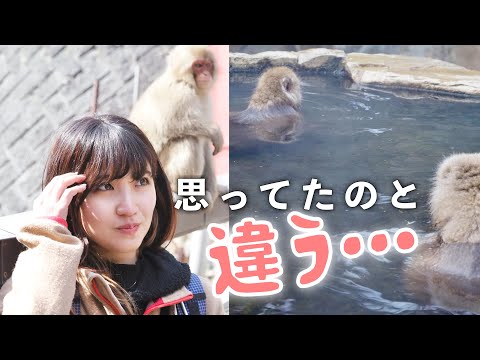 世界でココだけ【秘湯】お猿との混浴は難易度高すぎ…｜地獄谷野猿公苑 2024.2 Japanese Snow Monkey