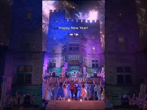 Happy New Year 🥂🎉🎇 #descendants #happynewyear #2024 #2025