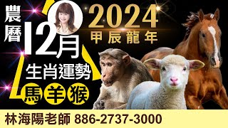 2024農曆12月，生肖運勢大解析（馬、羊、猴）【林海陽】_20241224