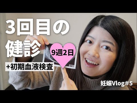 【妊娠Vlog＃5】3回目の妊婦健診｜9週2日｜Pregnancy Vlog