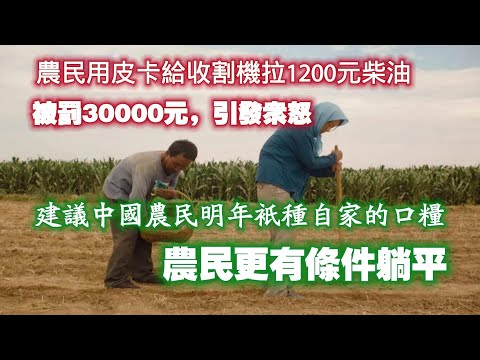 農民用皮卡給收割機拉1200元柴油，被罰30000元，引發眾怒。建議中國農民明年祇種自家的口糧，罢农。农民更有条件躺平。2024.12.14NO2585