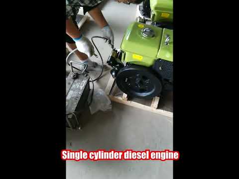 Single cylinder diesel engine