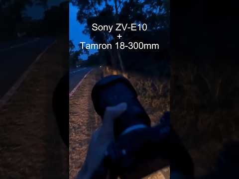 POV Reptile Photography at Night / Sony ZV-E10 & Tamron 18-300mm  #photography #Tamron #Sony