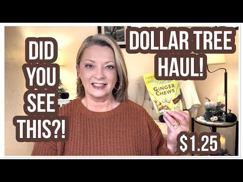 DOLLAR TREE HAUL | Did You See This? | WOW | $1.25 | LOVE THE DT😁 #haul #dollartree #dollartreehaul