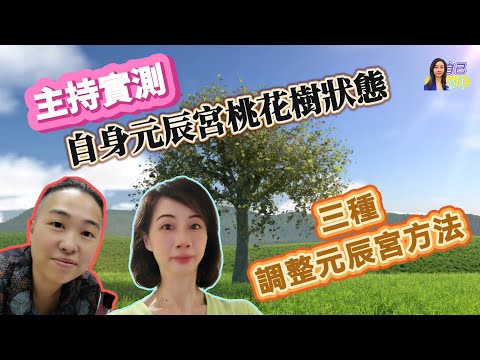 【元辰宮】實測元辰宮桃花樹反映的現實層面 | EP0057 20240903 #自己話事 #阿娜 #曾悟真 #身心靈 #阿卡西 #臼井靈氣 #希塔治療 #元辰宮 #桃花樹 #人緣 #姻緣運 #財運