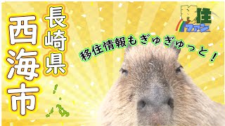 【移住ファン！】長崎県西海市 【まちの魅力】