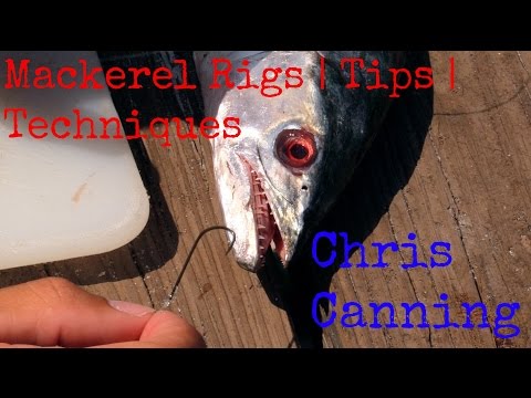 Spanish Mackerel Fishing Rigs | Tips & Techniques