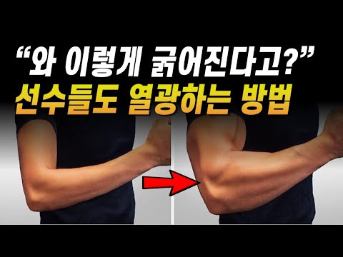 팔 굵어지는 방법 그만 찾고 이 운동 하세요 (이두근 삼두근 두꺼워지는 루틴)