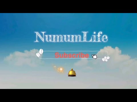 Cutest Intro | NumumLife Ft. Vivo