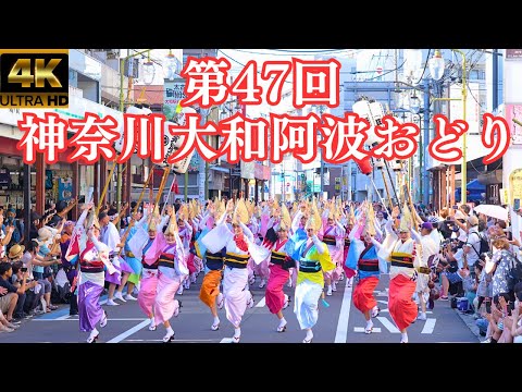 JapaneseSummer/The47thKanagawaYamatoAwaDance