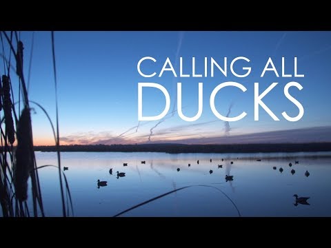 Wisconsin Foodie - Horicon Marsh Duck Hunt