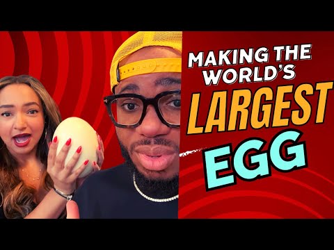 Making the world’s LARGEST EGG!