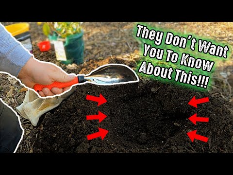 The "Soil Scoop" Gardening Tool! An Easy Way To Cultivate & Establish New Plants In Your Garden!!