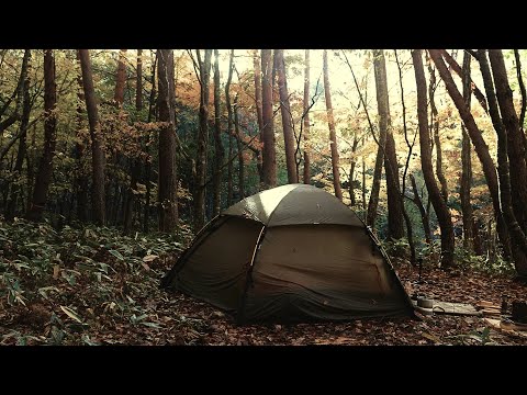 Autumn leaves solo camp in the rain, early morning frost and autumn leaves-Allak3, Hillberg